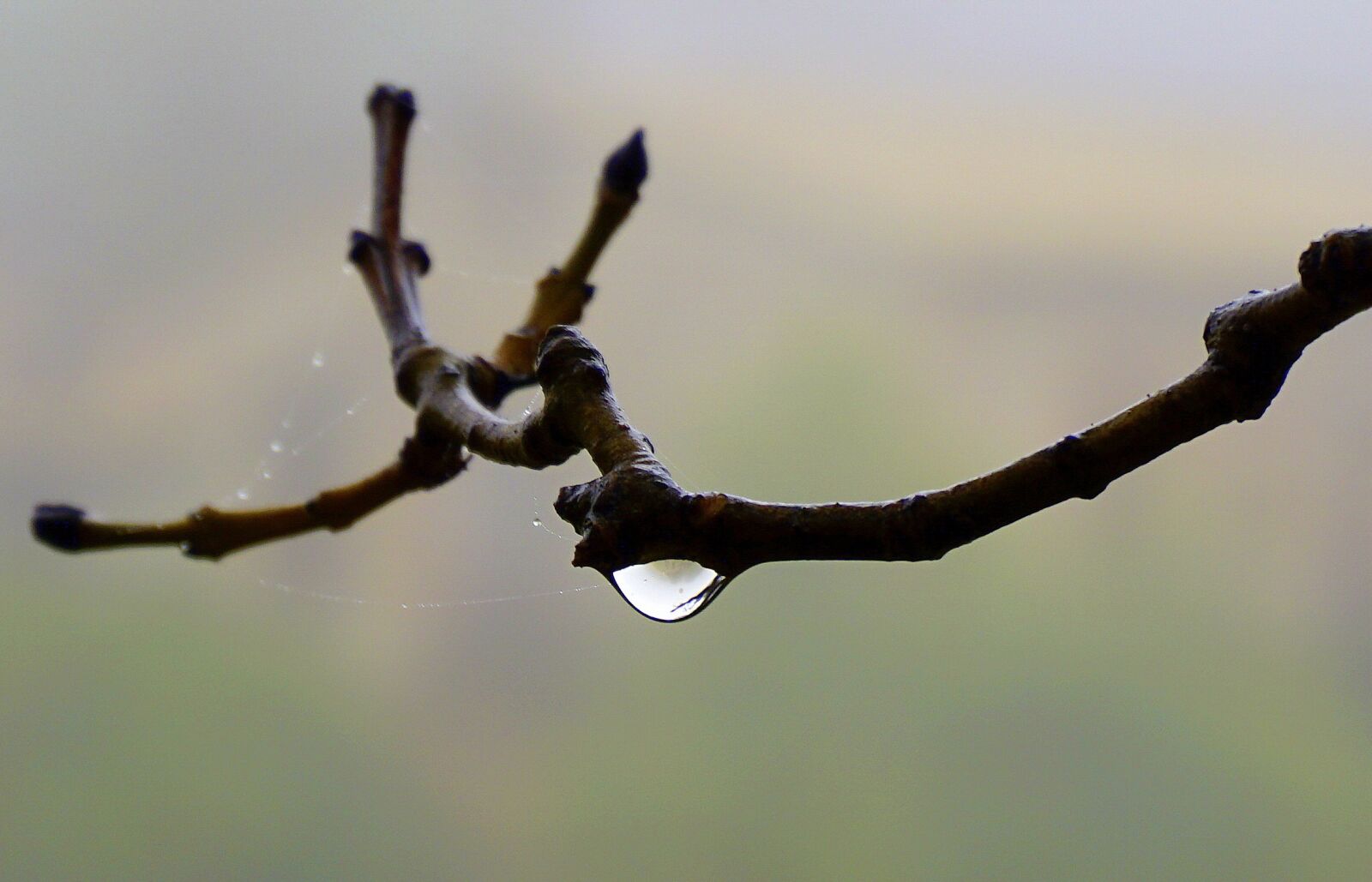 Sony a6000 sample photo. Drop, water, macro photography
