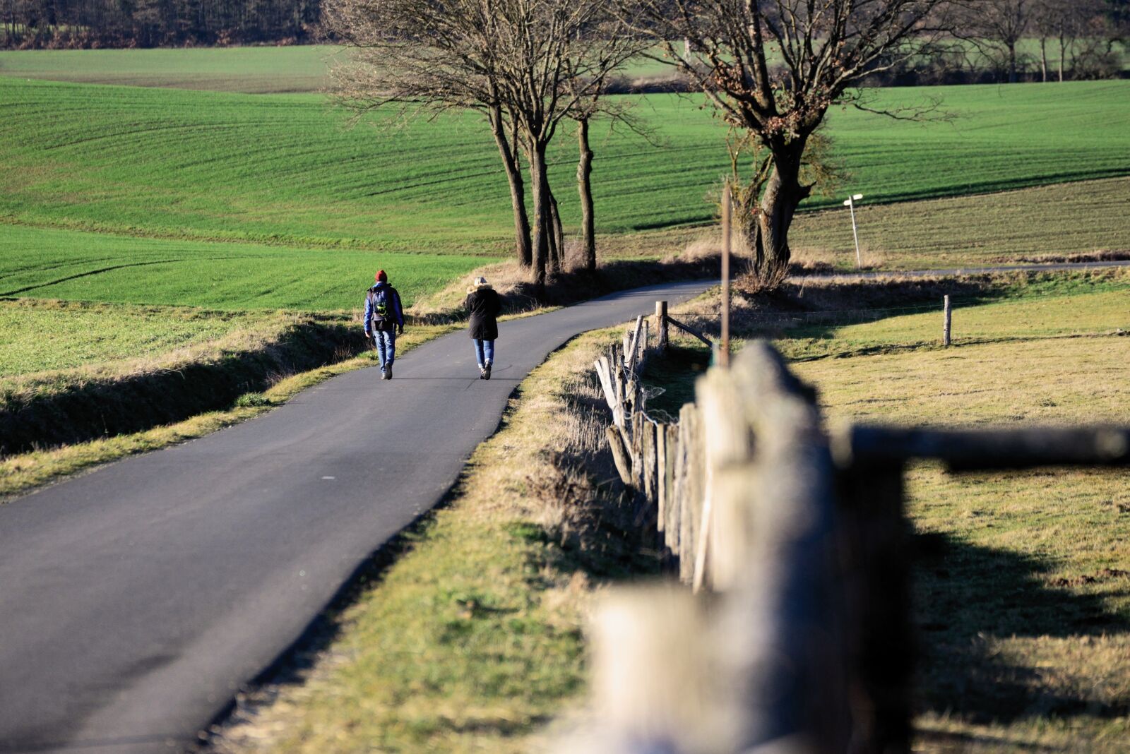 Nikon D610 sample photo. Walk, landscape, away photography