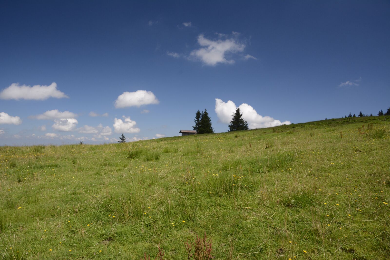Nikon D7100 sample photo. Meadow, landscape, nature photography