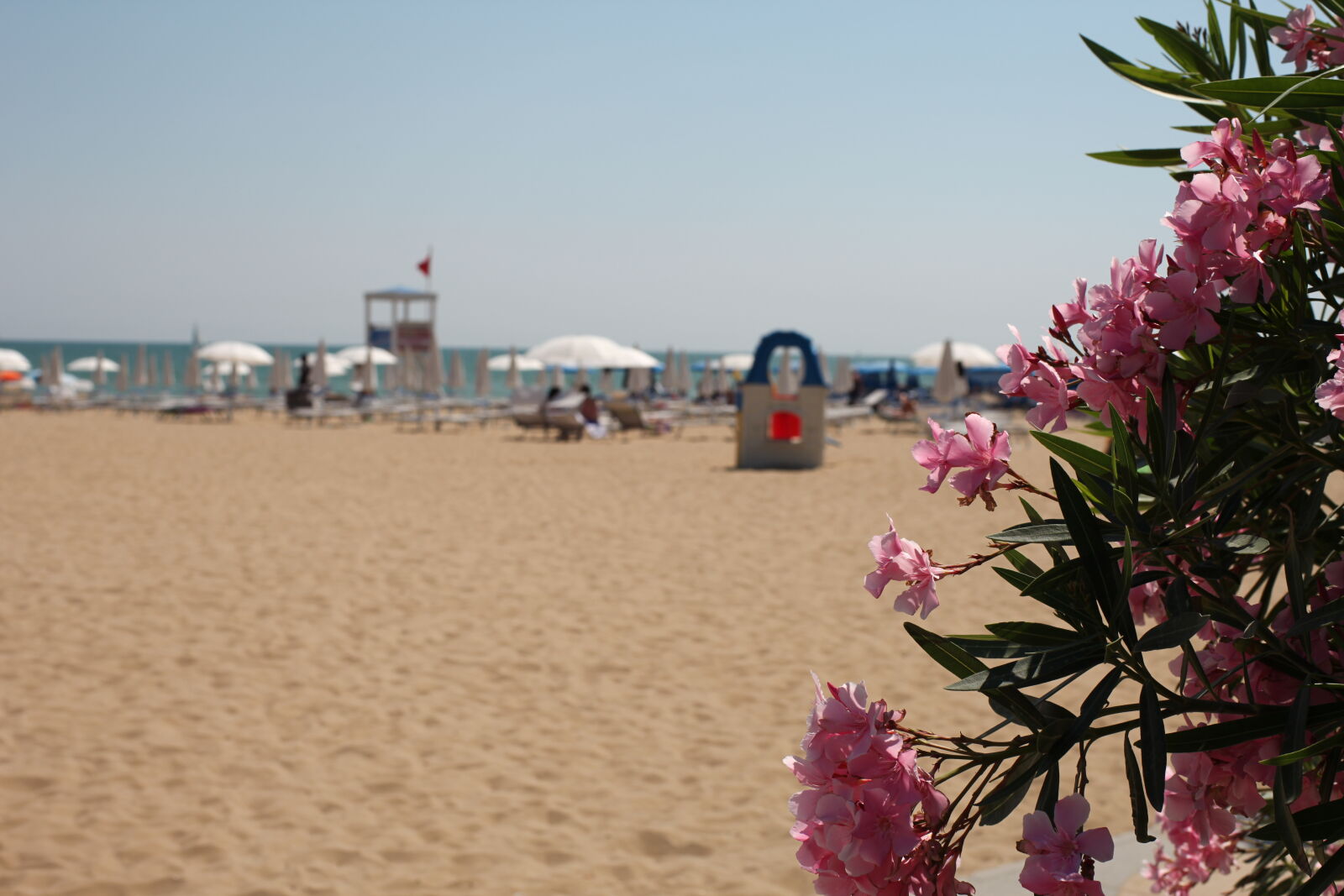 ZEISS Planar T* 50mm F1.4 sample photo. Beach, holidays, jesolo photography