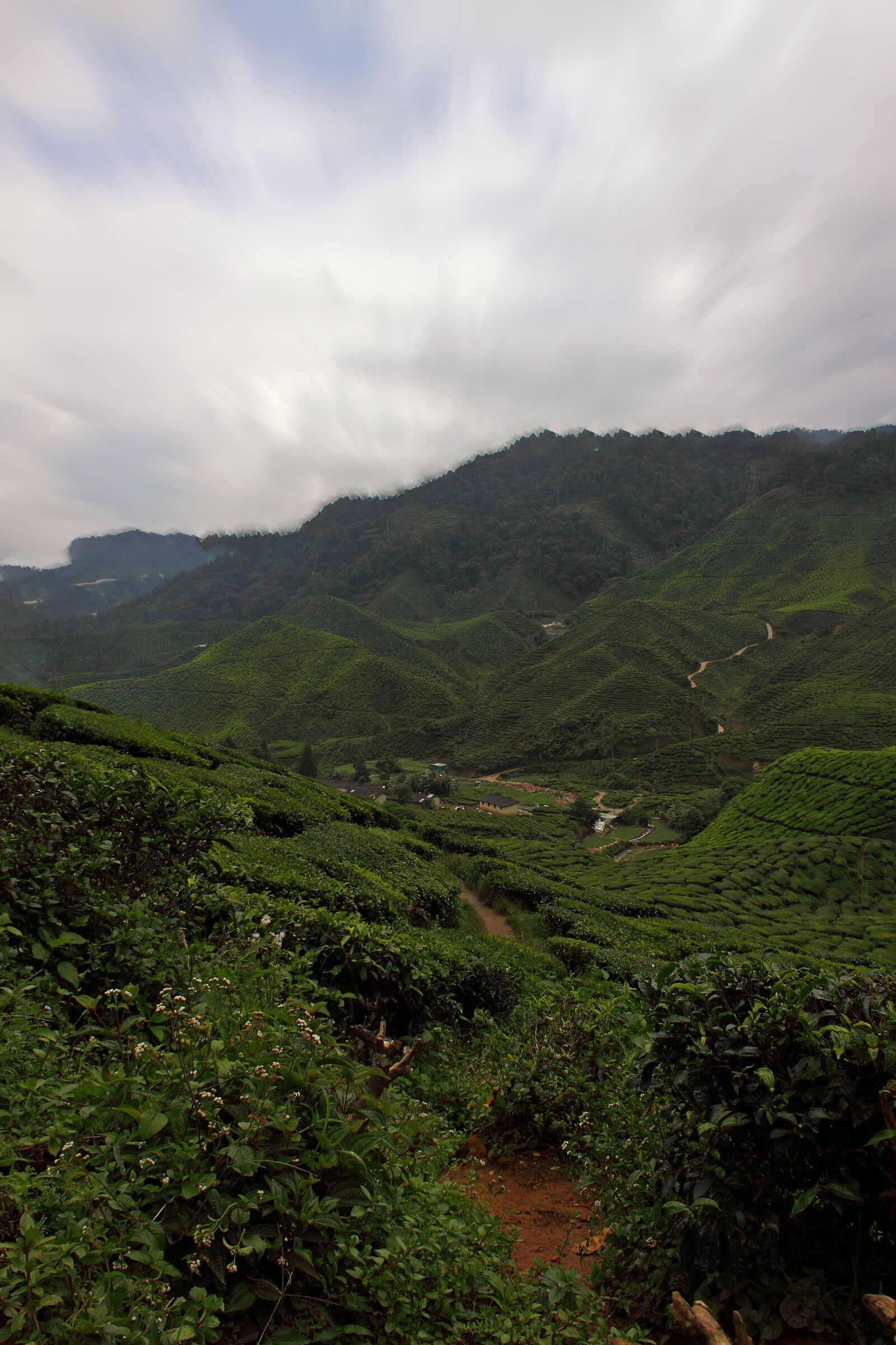 Canon EOS 50D sample photo. Agriculture, clouds, cropland, daylight photography