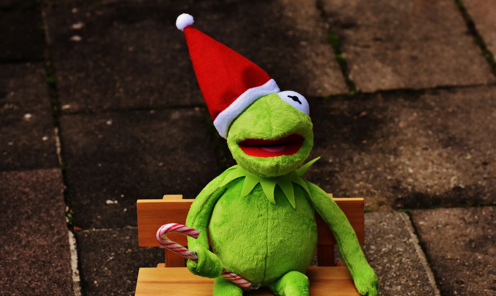 Nikon D7200 sample photo. Kermit, frog, christmas photography