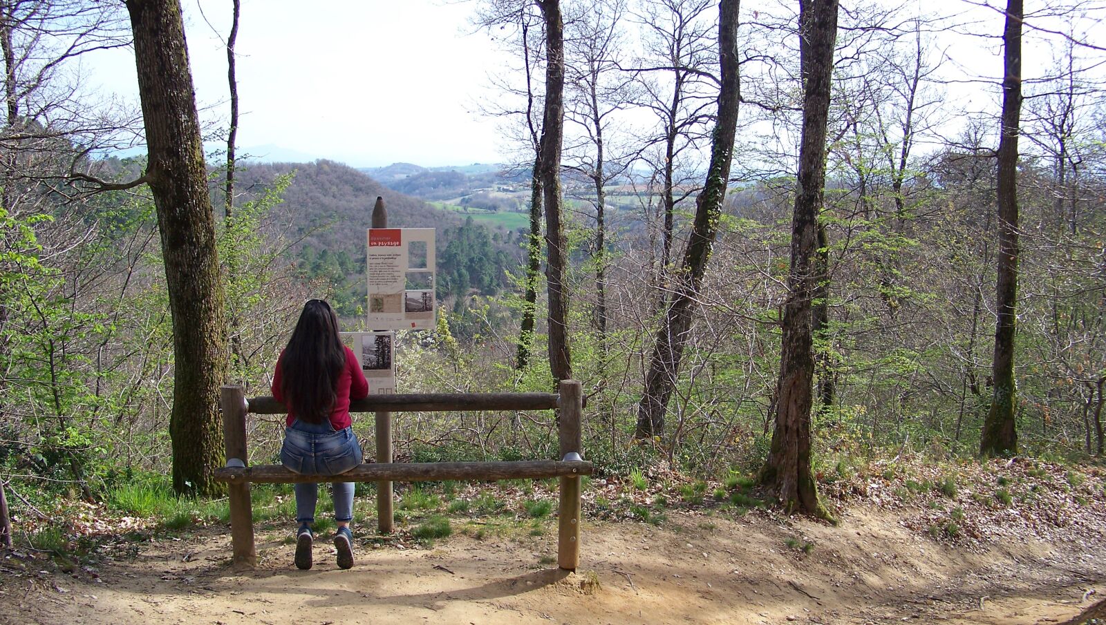 Kodak EASYSHARE Z1012 IS DIGITAL CAMERA sample photo. Forest, meditation, reverie photography