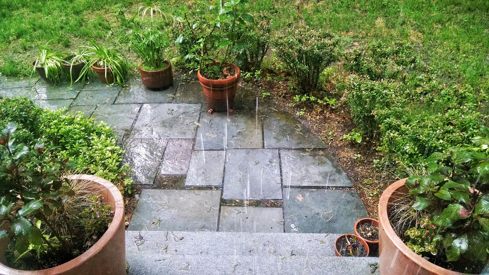QCOM-AA QCAM-AA sample photo. Drops, green, rain, steps photography