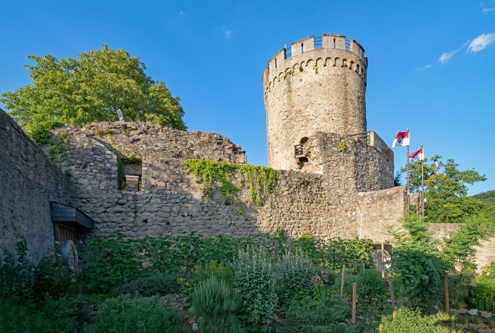 Nikon D5300 sample photo. Castle, alsbach, mountain road photography