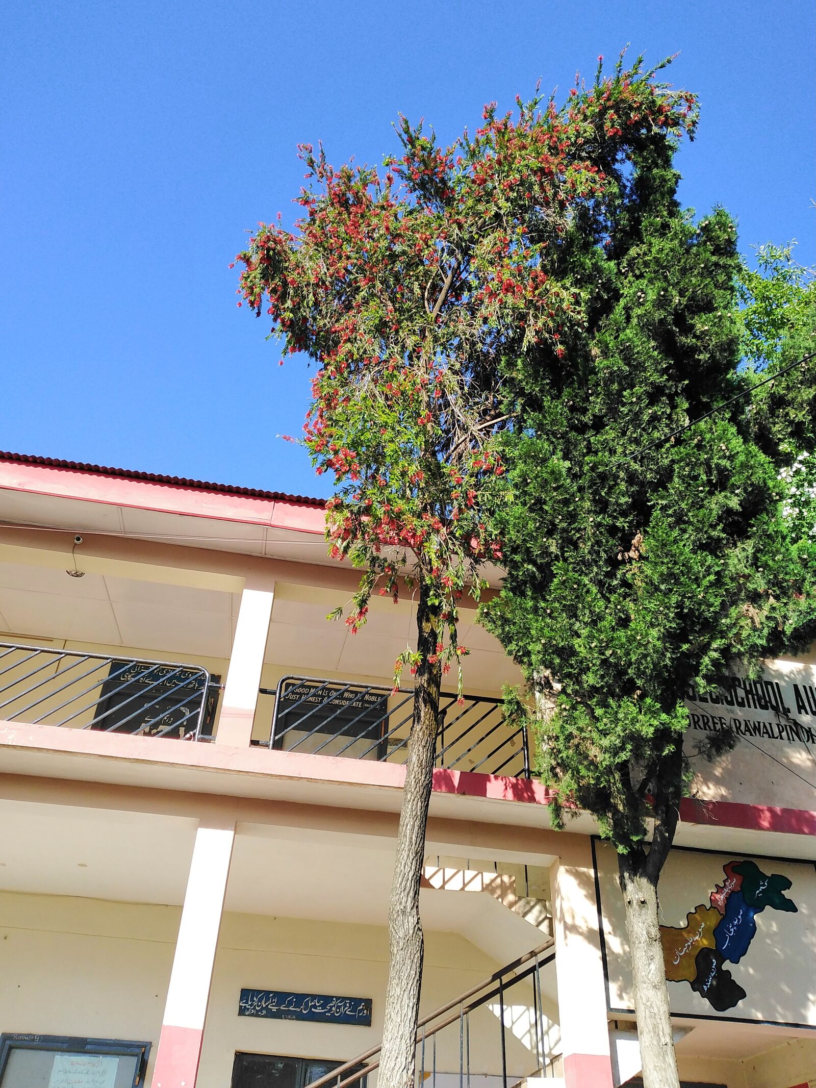 HUAWEI DUB-LX1 sample photo. School, tree, campus photography