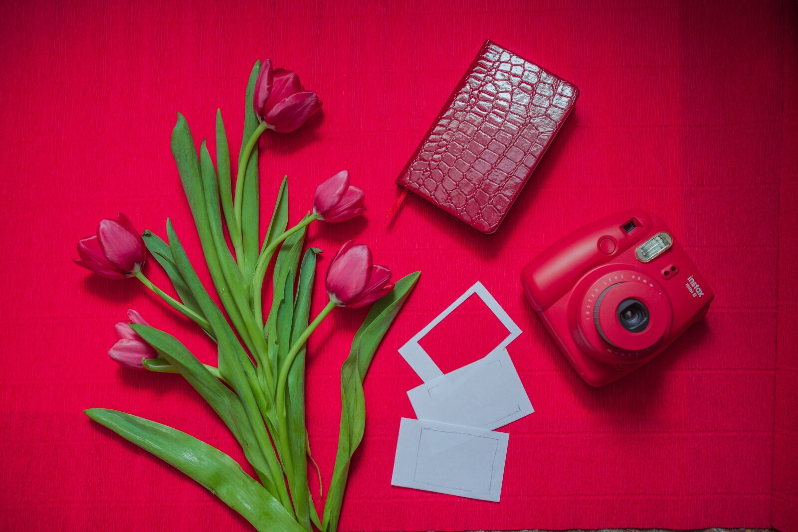 Canon EOS 5D Mark II sample photo. Tulip, polaroid, card photography
