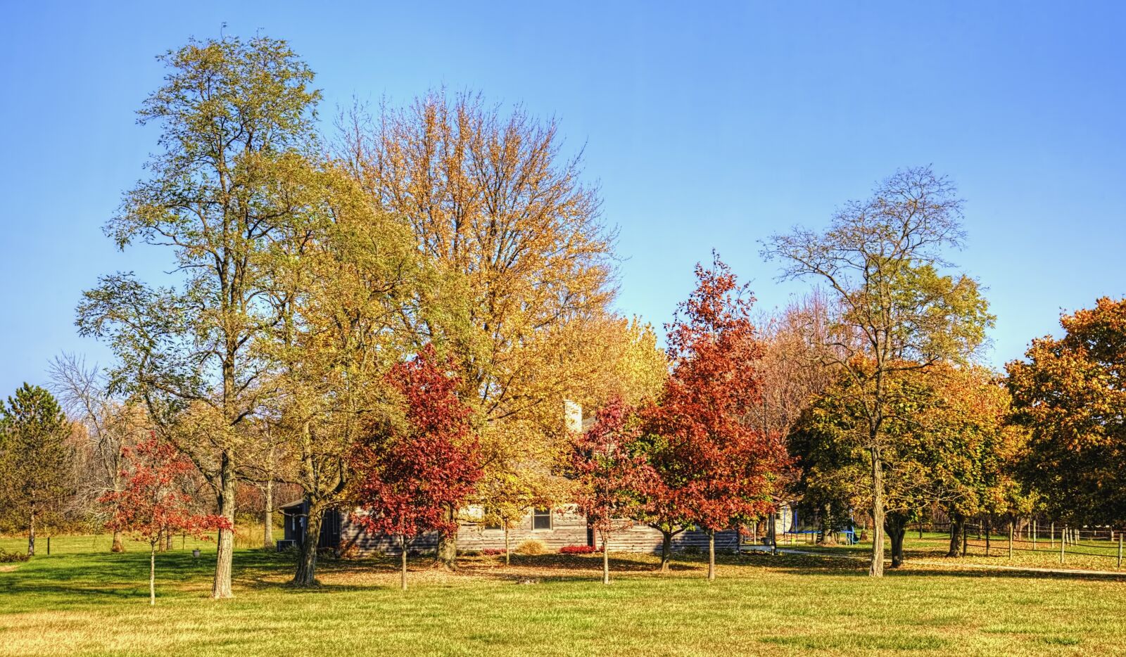 Canon EOS 5D Mark II sample photo. Scenery, trees, artistic photography