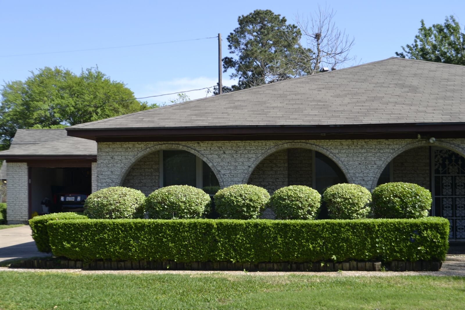Nikon D3100 sample photo. Lawncare, hedges, trimmed photography