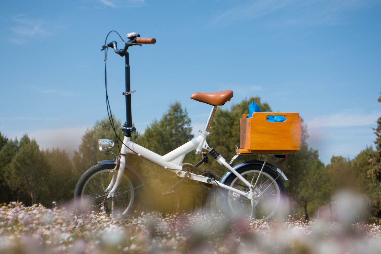 Canon EOS 70D sample photo. Folding, bike, flowers photography