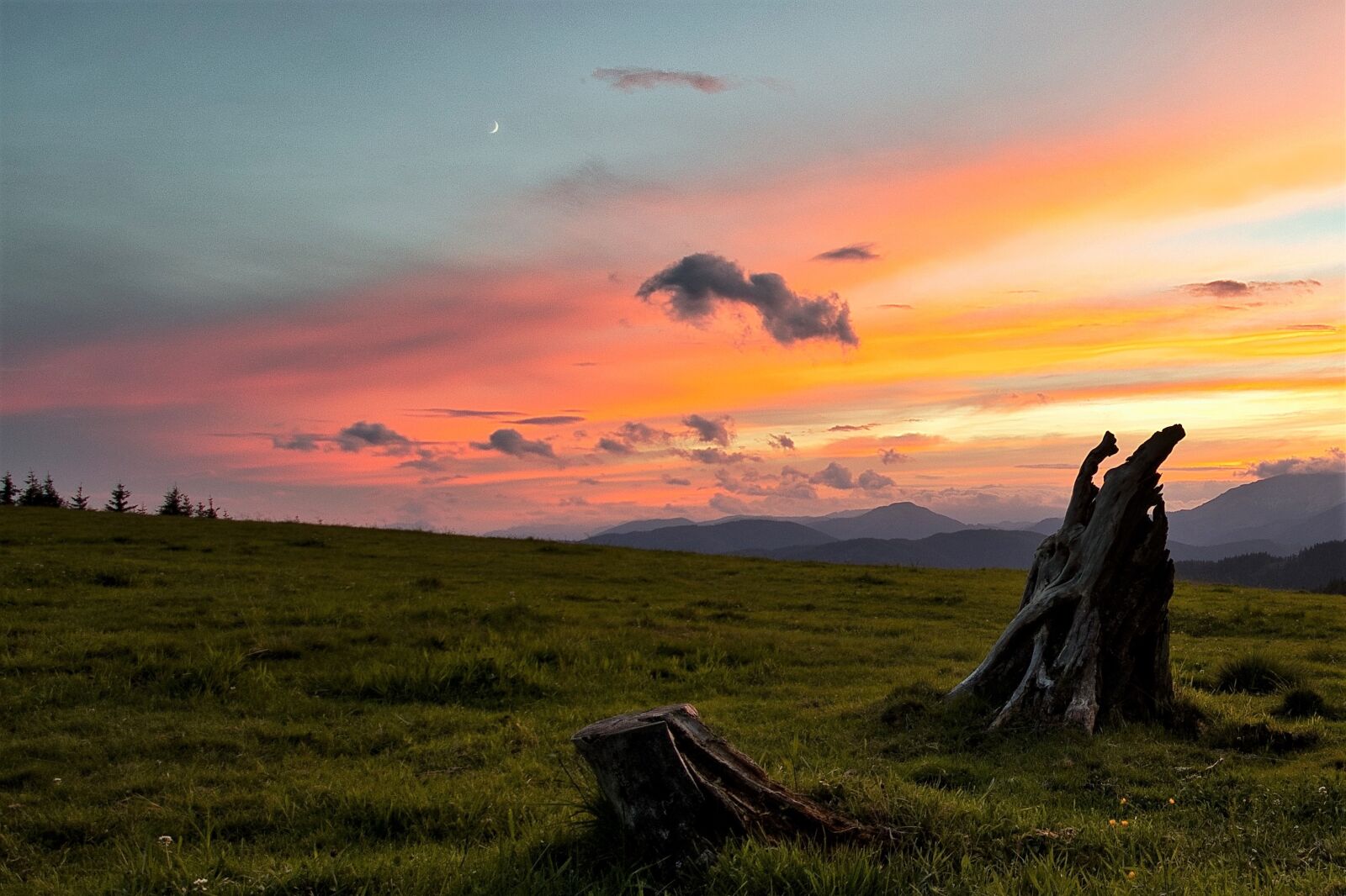Canon EOS 80D sample photo. Sunset, pasture, meadow photography