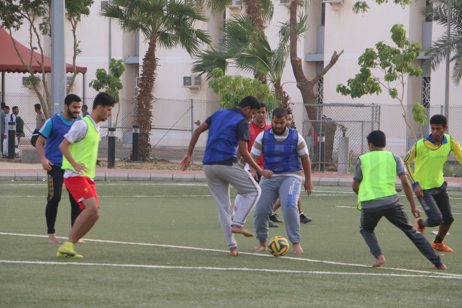 Canon EOS 70D sample photo