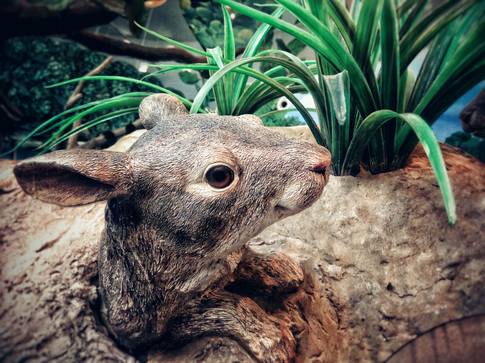 Xiaomi Redmi Note3 sample photo. Brown, wooden, animal, carve photography