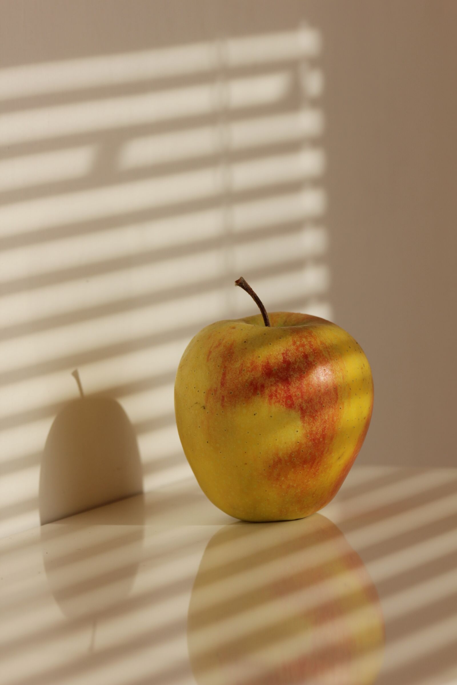 Canon EOS 550D (EOS Rebel T2i / EOS Kiss X4) sample photo. Apple, shadow, fruit photography