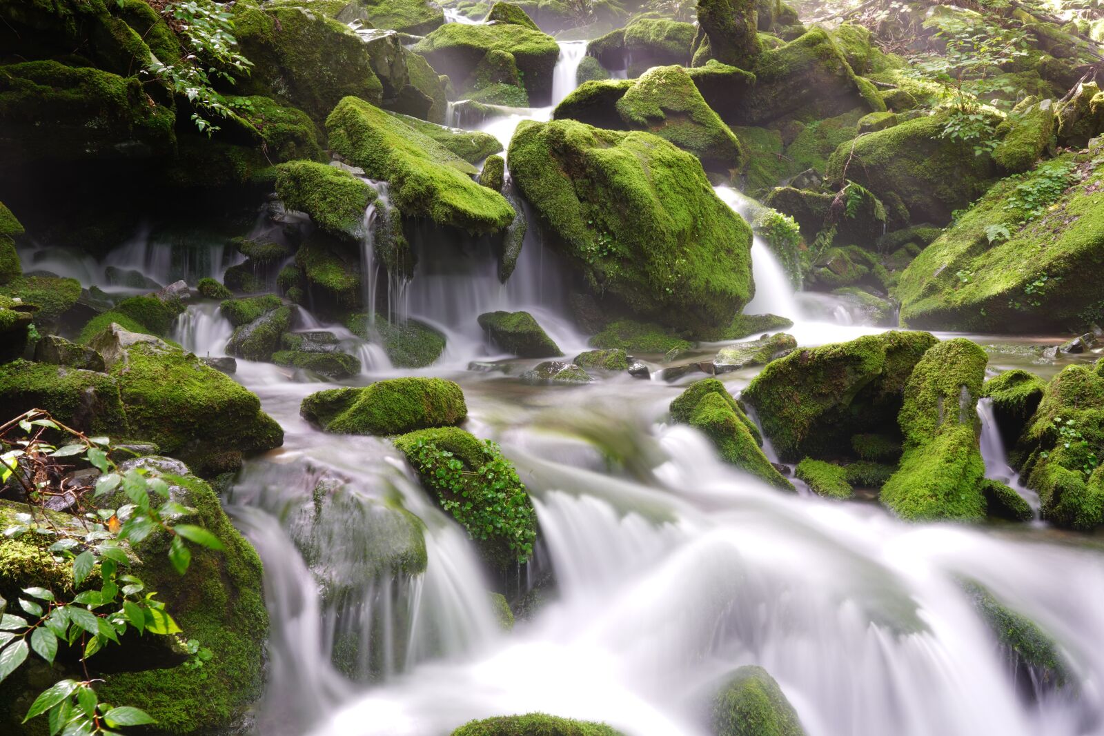 Sony FE 24-105mm F4 G OSS sample photo. Brook, water, clean photography