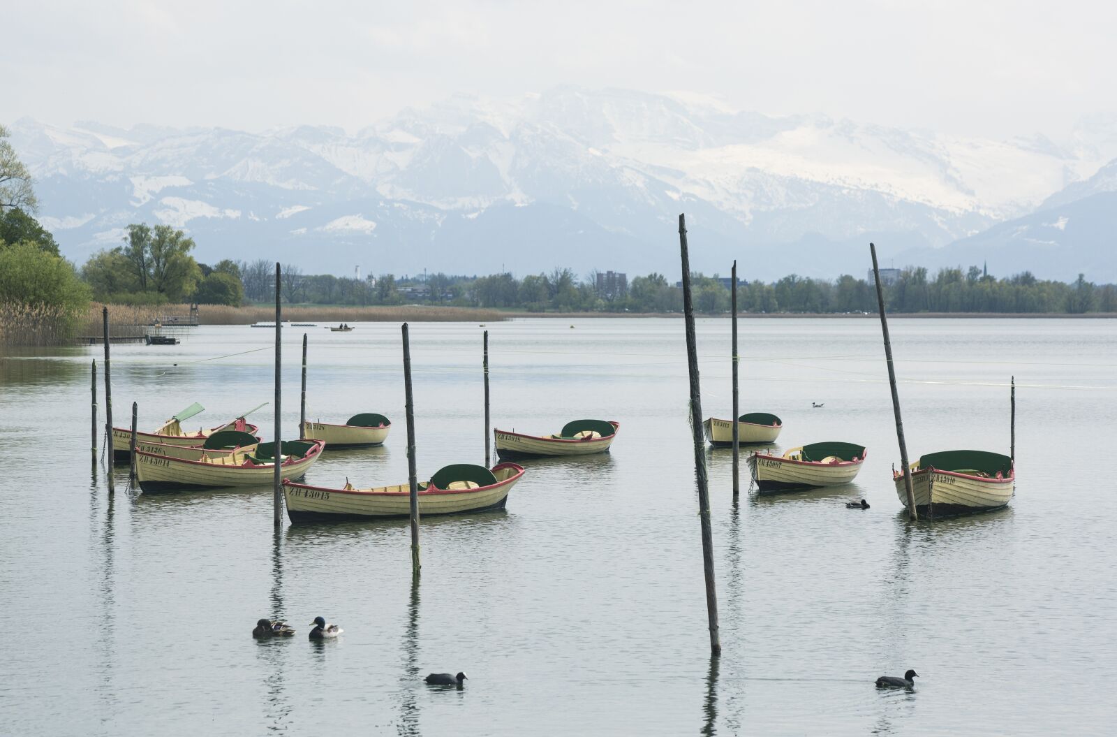 Canon EF 70-300mm F4-5.6 IS USM sample photo. Lake, nature, pfäffikersee photography