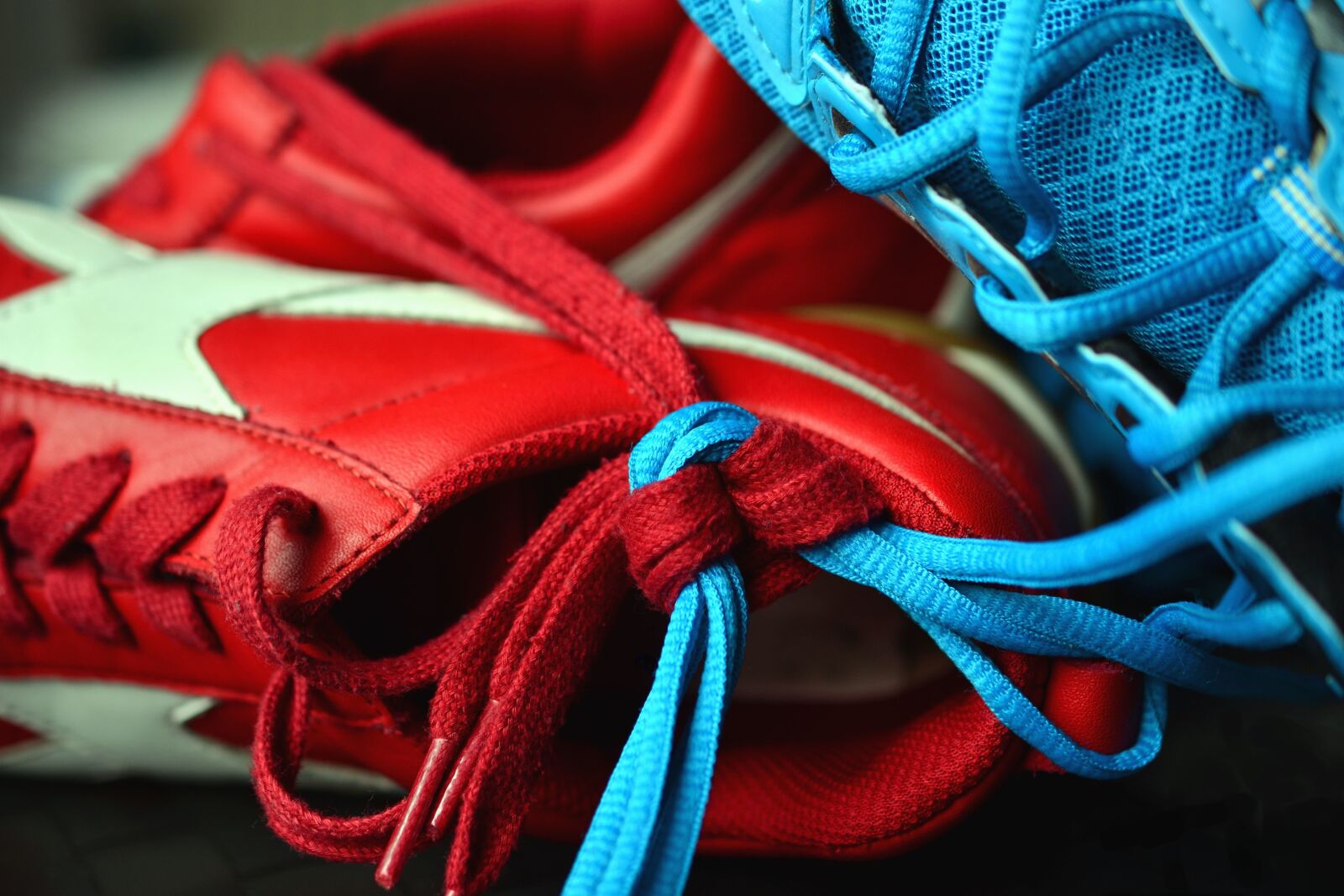 Nikon D5200 sample photo. Shoe, shoelace, sport, shoe photography