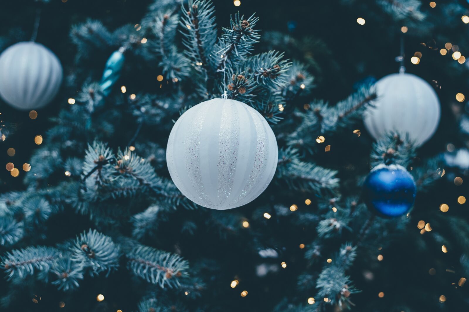 Nikon D4S sample photo. Christmas bauble, christmas tree photography