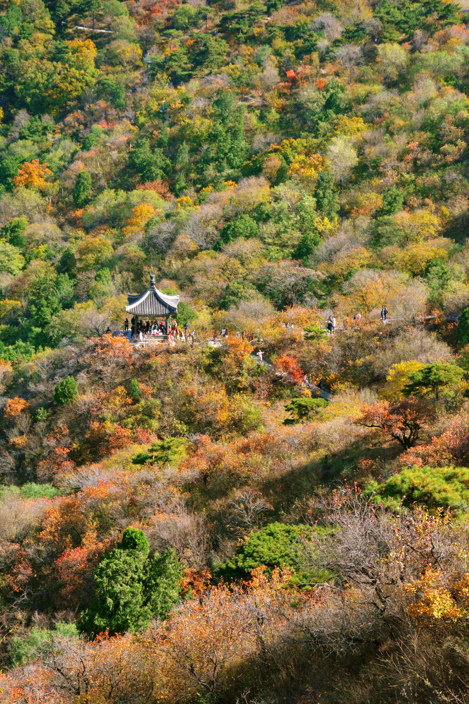 Nikon D7100 sample photo. Autumn, beijing, fragrant hill photography