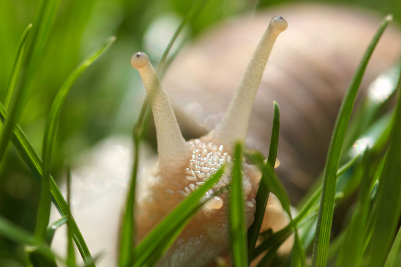 Canon EOS 77D (EOS 9000D / EOS 770D) sample photo