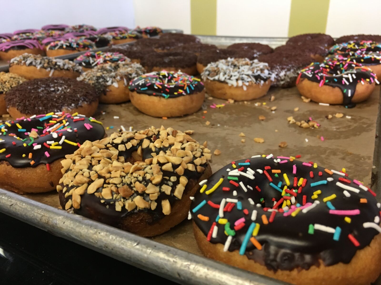 Apple iPhone 6s sample photo. Bread, doughnut, sweet photography