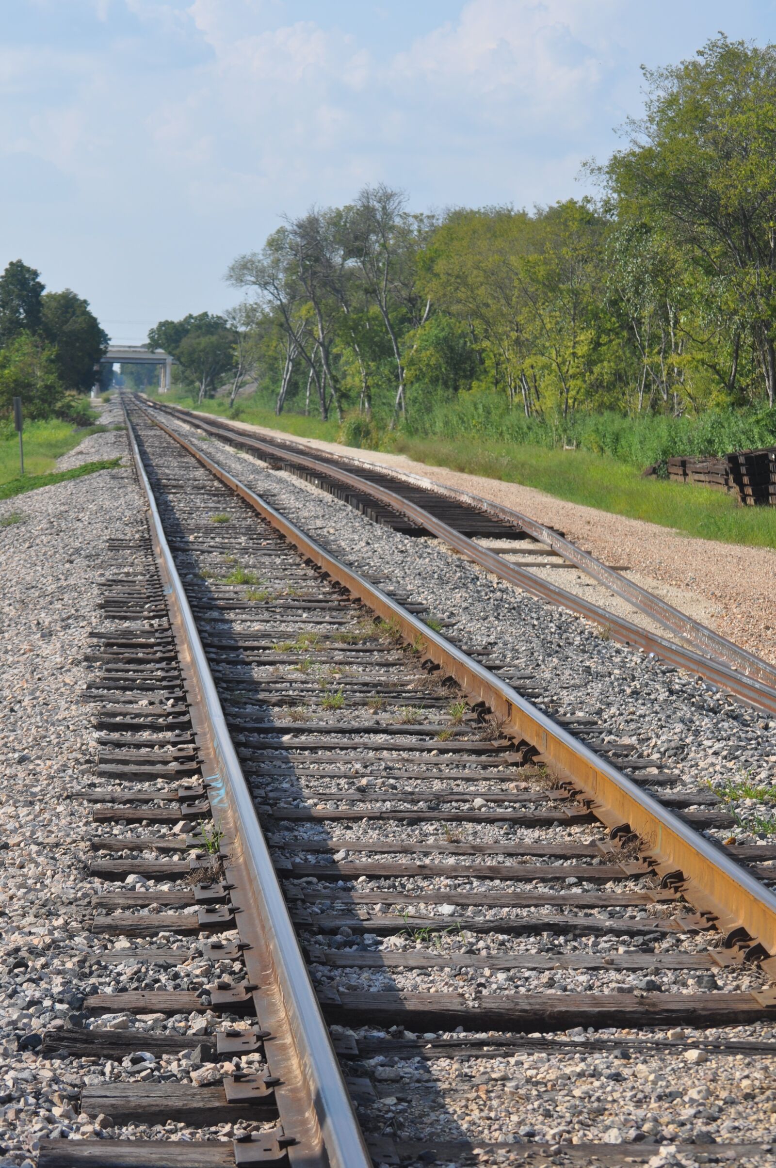 Nikon D5000 sample photo. Railroad, train, track photography