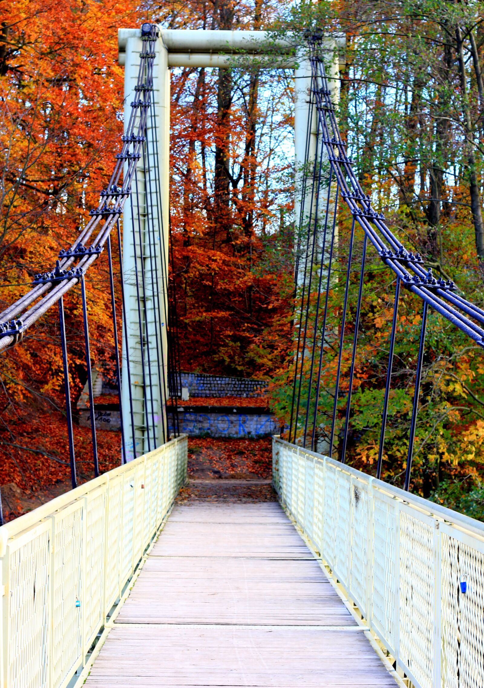 Canon EOS 60D + Canon EF 50mm F1.8 II sample photo. Autumn, bridge, bridge cable photography