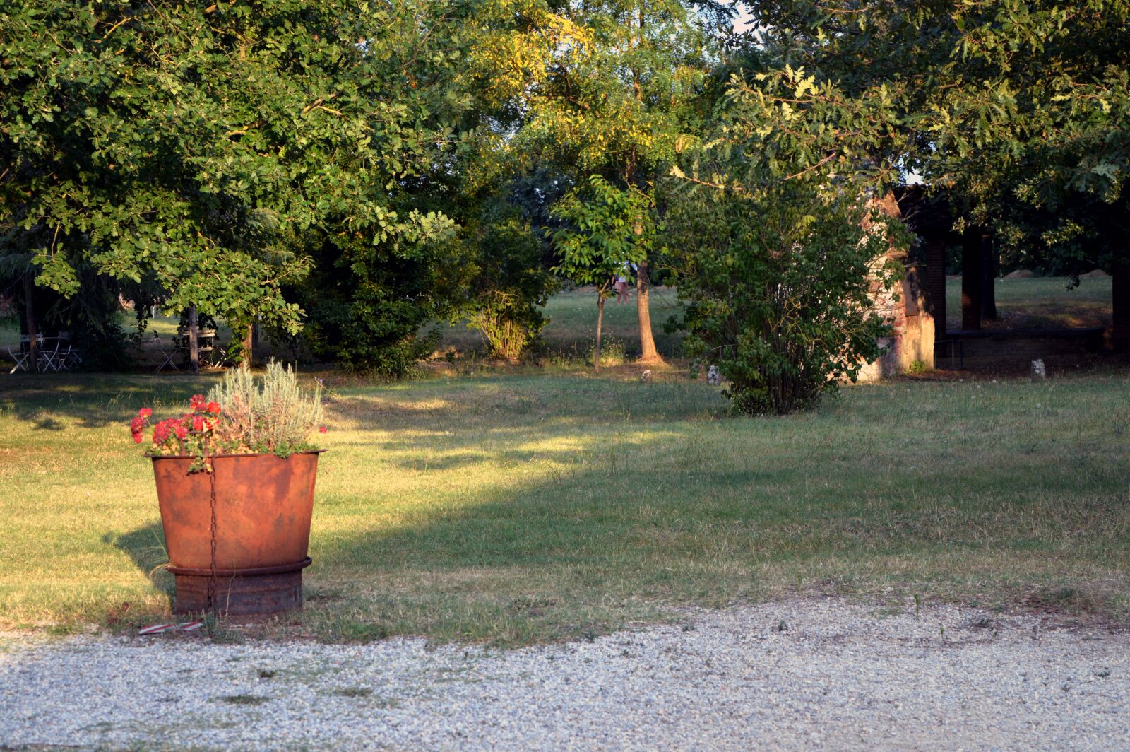 Nikon D3200 sample photo. Garden, peace, vase photography