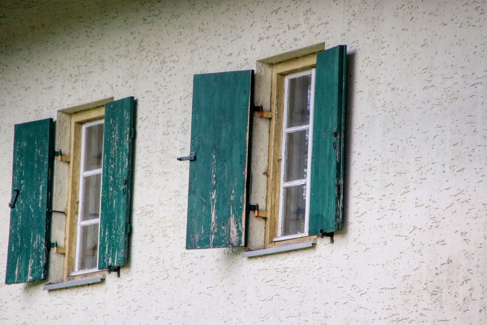 Canon EOS 80D sample photo. Window, green, shutter photography