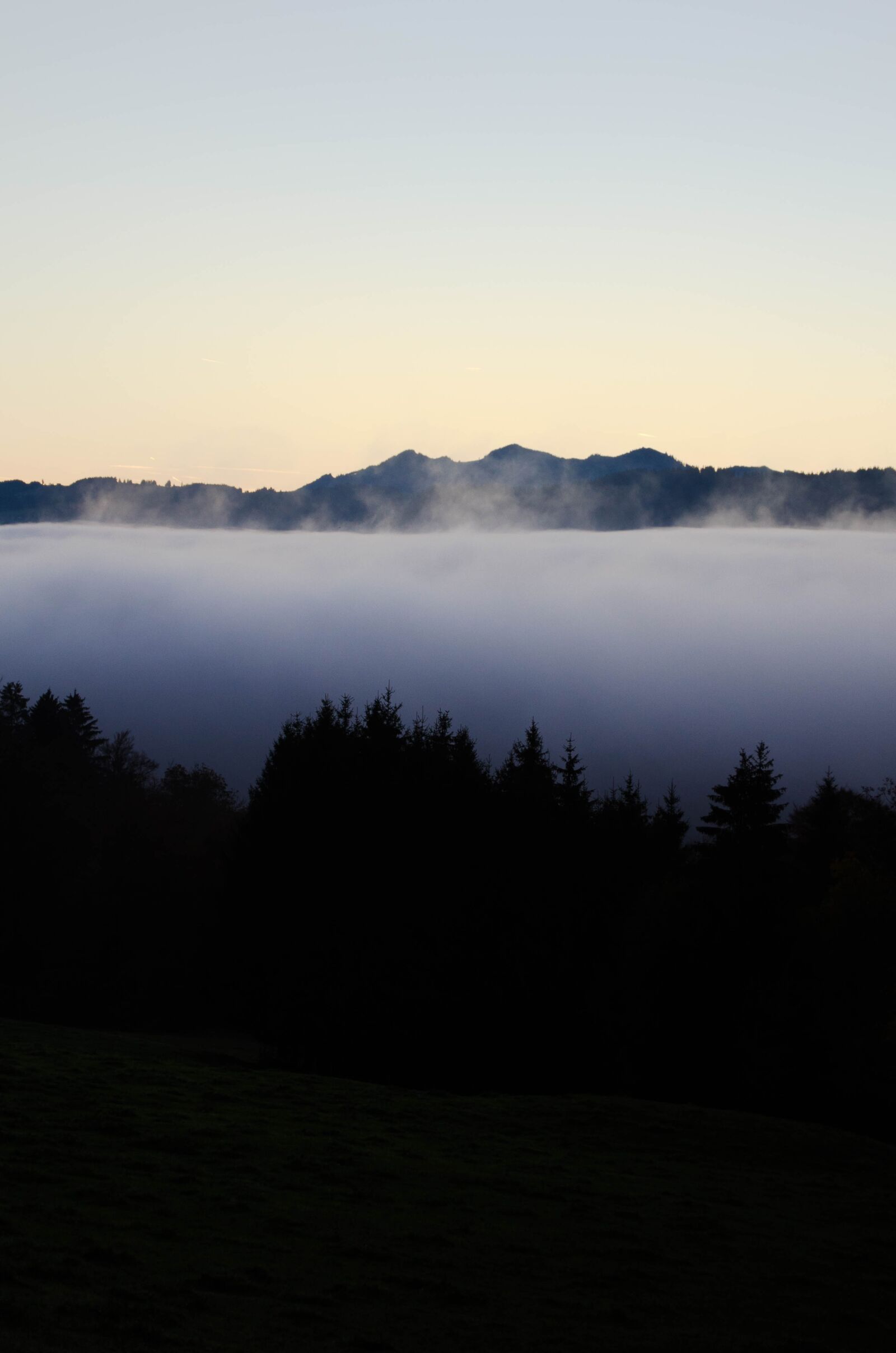 Nikon D7000 sample photo. Allgäu, fog, morning photography