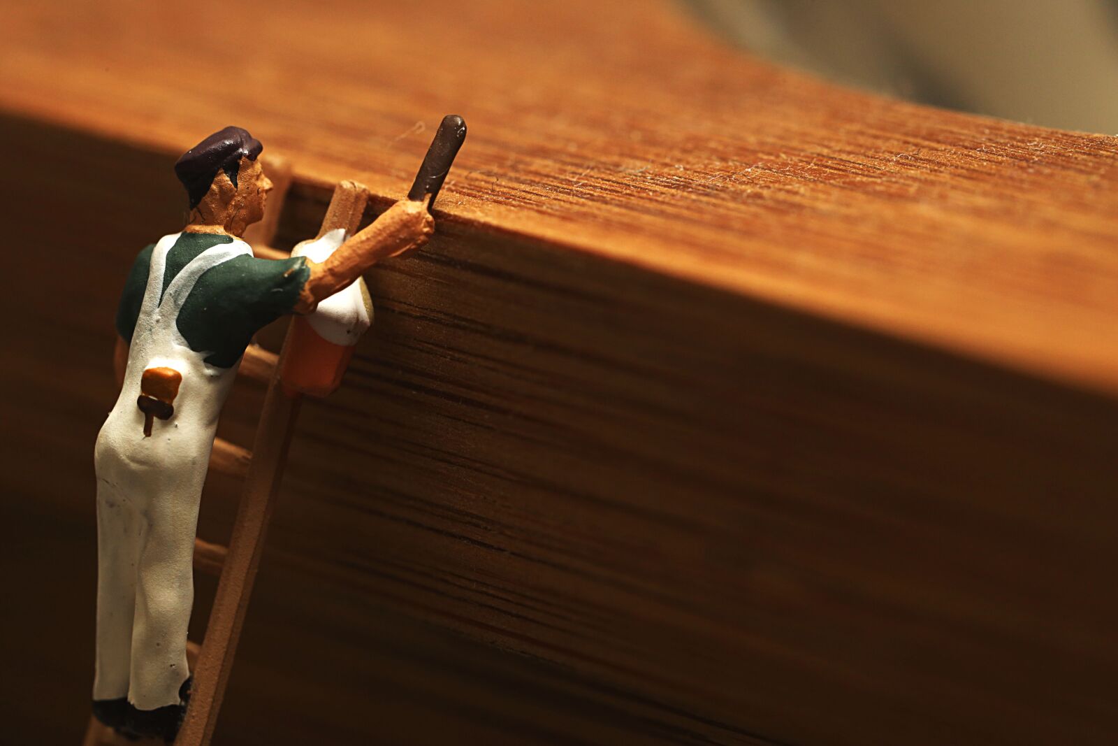 Canon EF 100mm F2.8L Macro IS USM sample photo. Figure, miniature, macro photography
