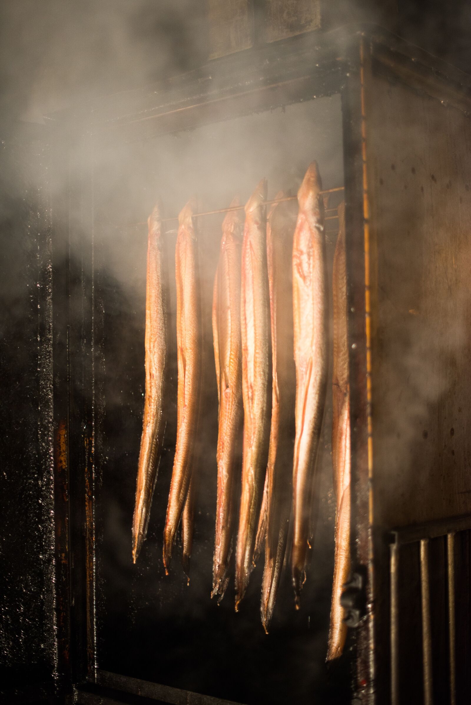 Nikon D600 sample photo. Eel, fish, smoking photography