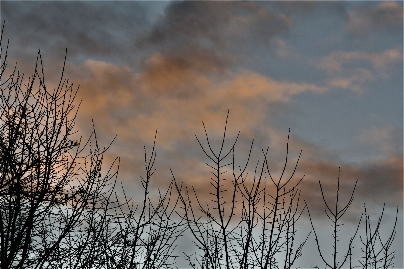 Canon EOS 1000D (EOS Digital Rebel XS / EOS Kiss F) sample photo. Autumn evening, sunset, afterglow photography