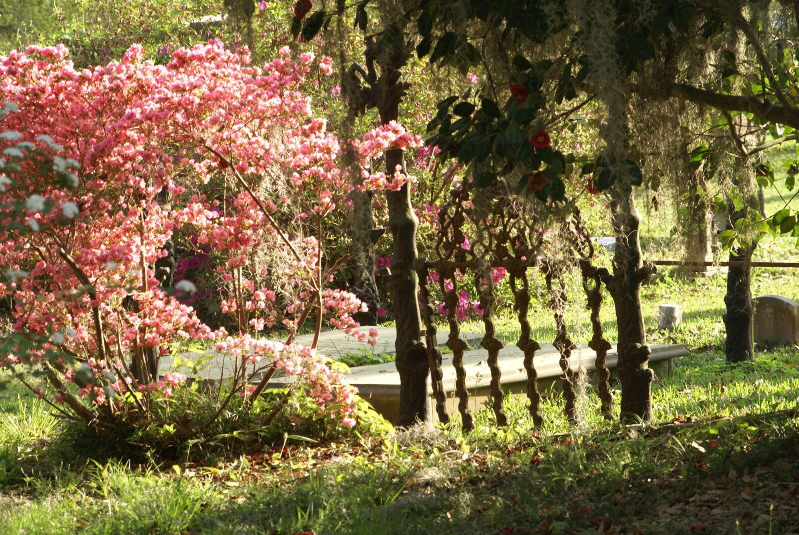 Sony Alpha DSLR-A100 sample photo. Garden, flowers, gate photography