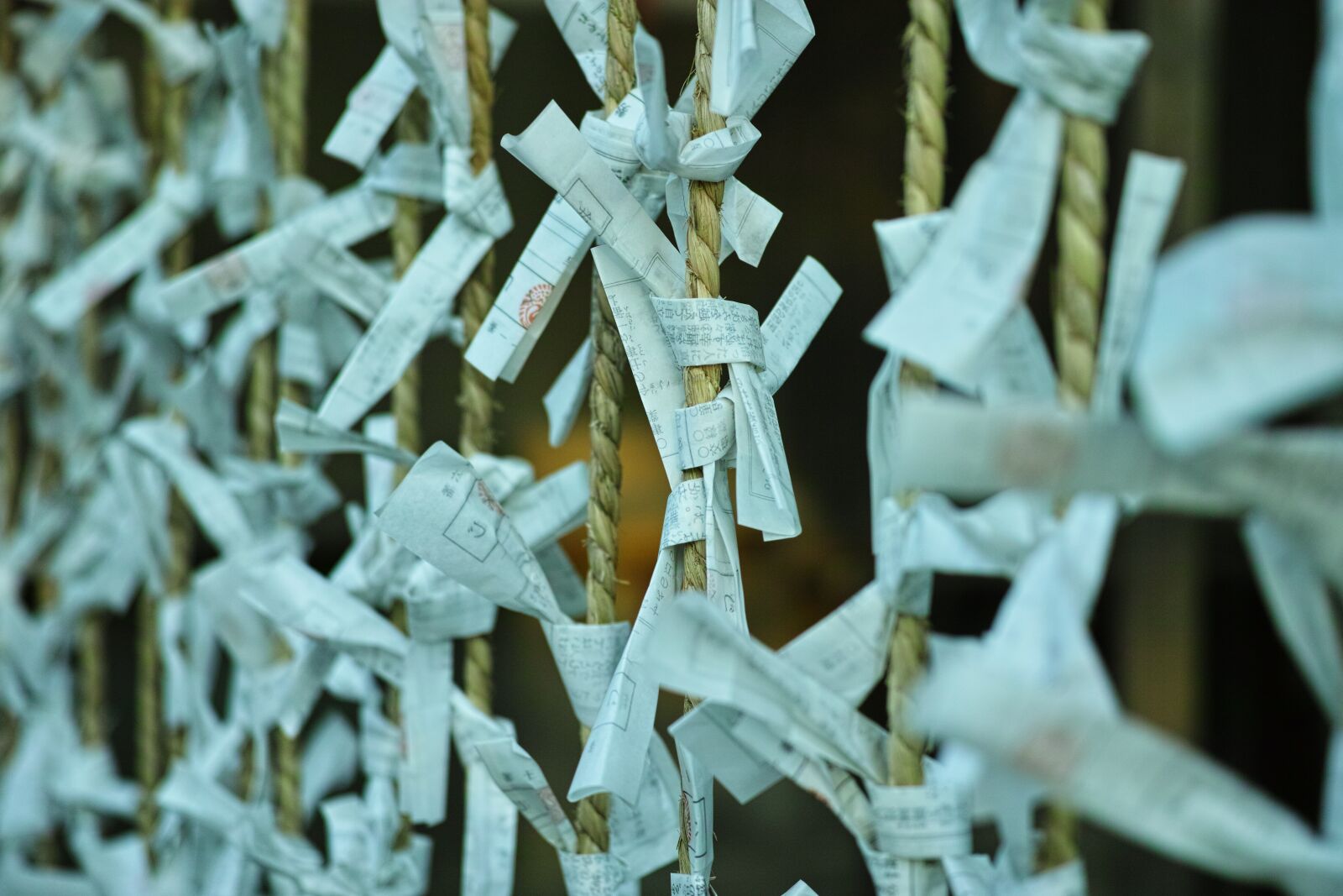 Sigma DP3 Merrill sample photo. Fortune, shrine, kamakura photography