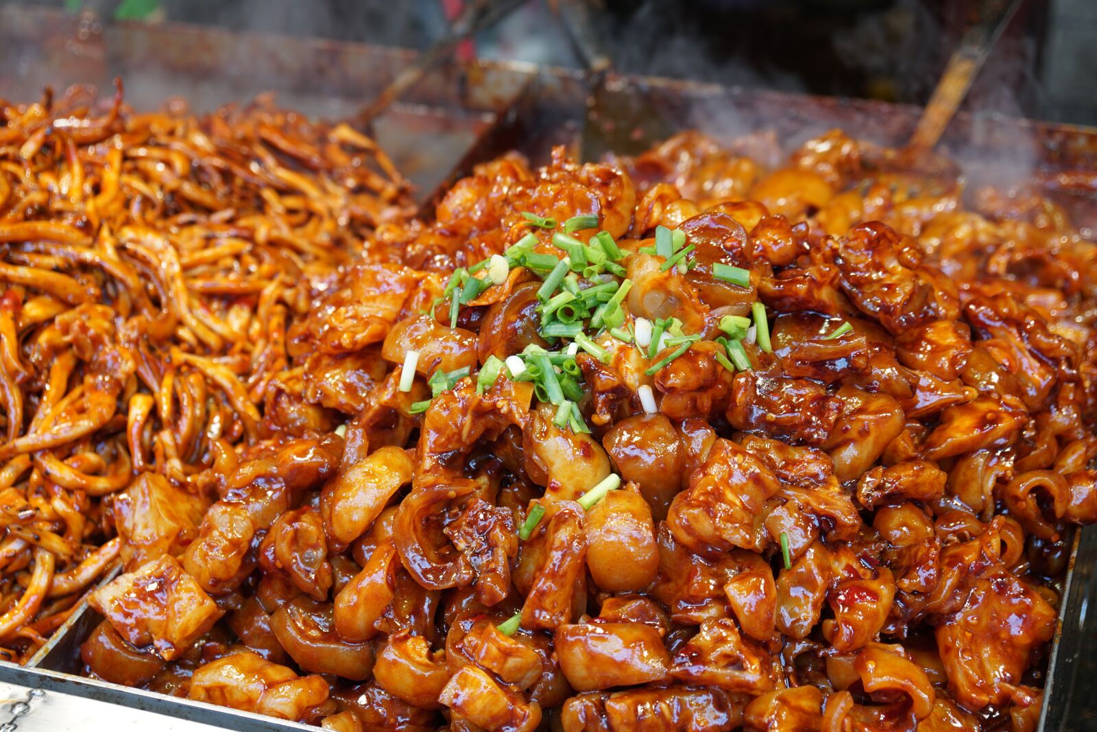 Sony a6500 + Sony Vario-Tessar T* E 16-70mm F4 ZA OSS sample photo. Wuhan, gourmet, trotter photography