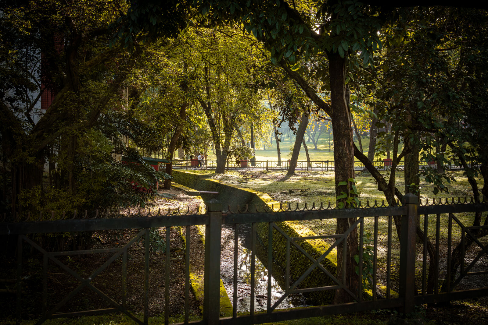 Sony ZV-E10 sample photo. Park photography