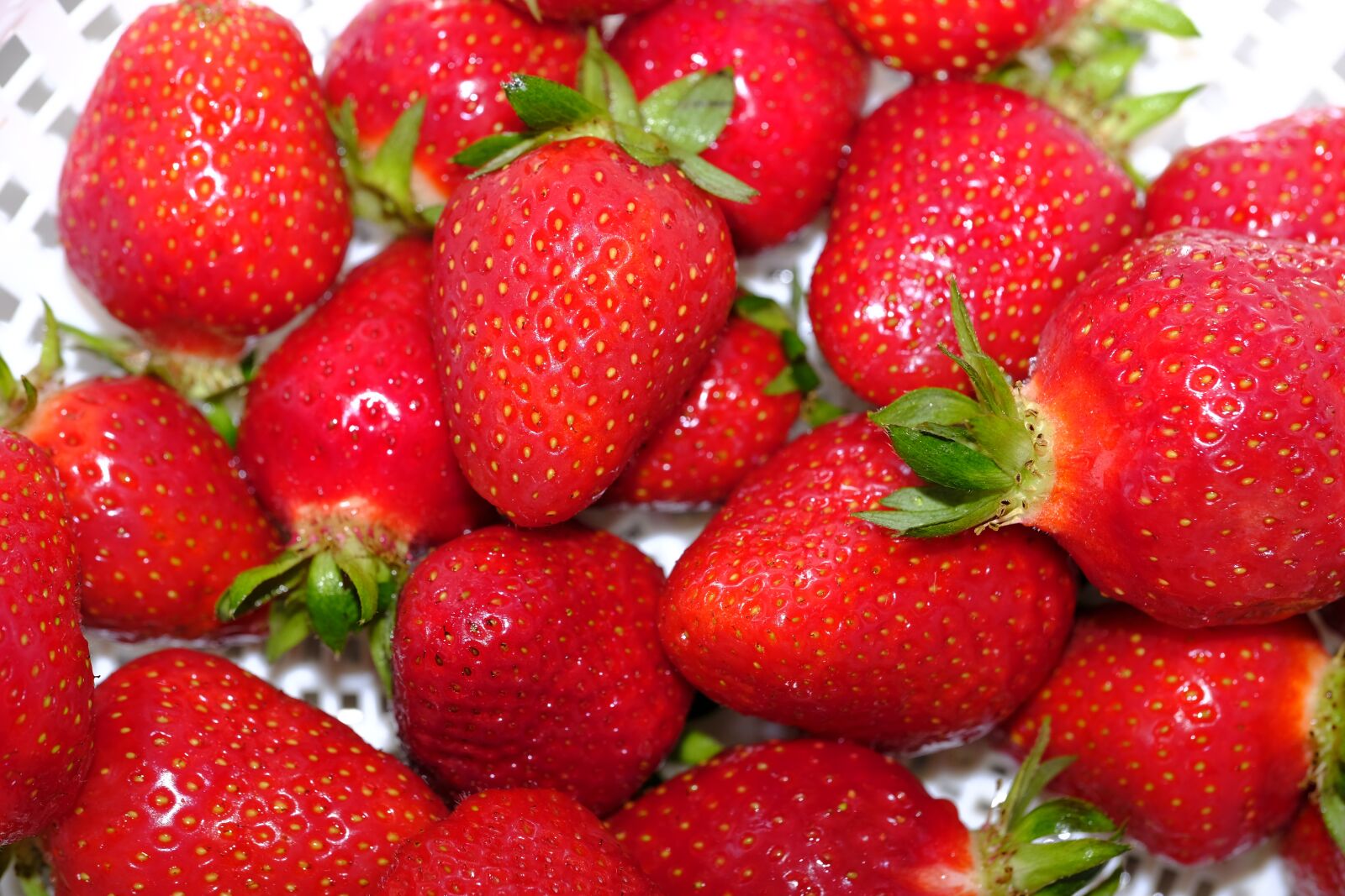 Fujifilm X-T2 + Fujifilm XF 80mm F2.8 R LM OIS WR Macro sample photo. Strawberries, berries, fruit photography
