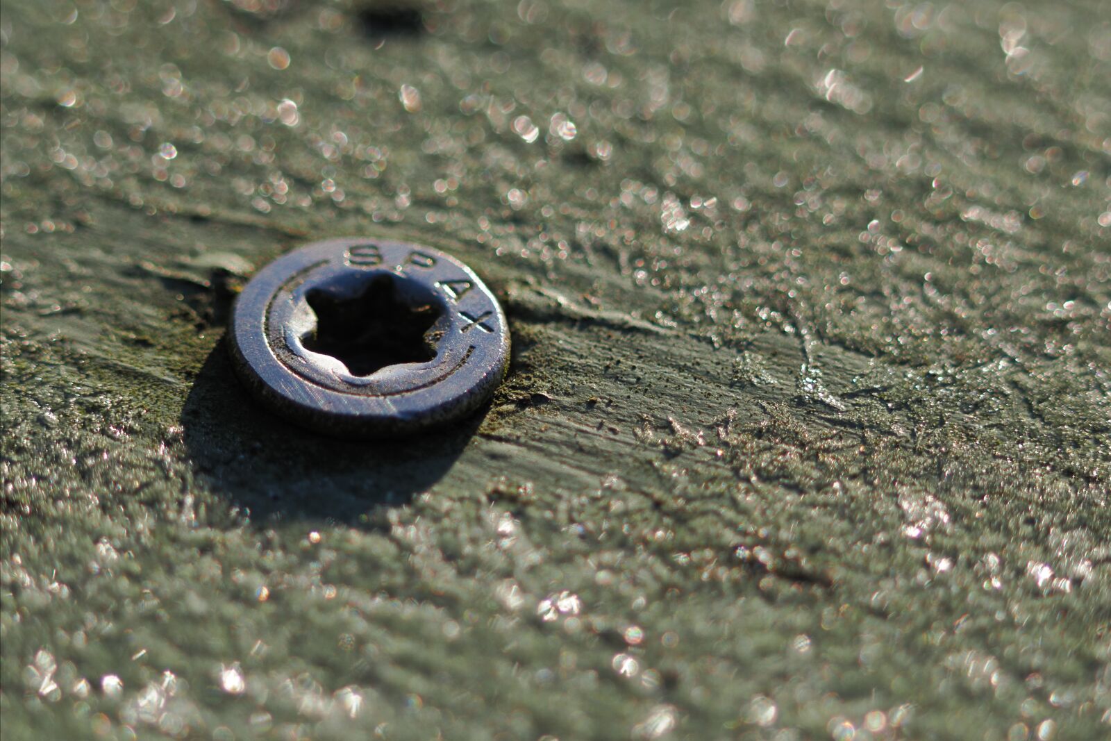OM System OM-1 Mark II sample photo. Screw on the wooden photography