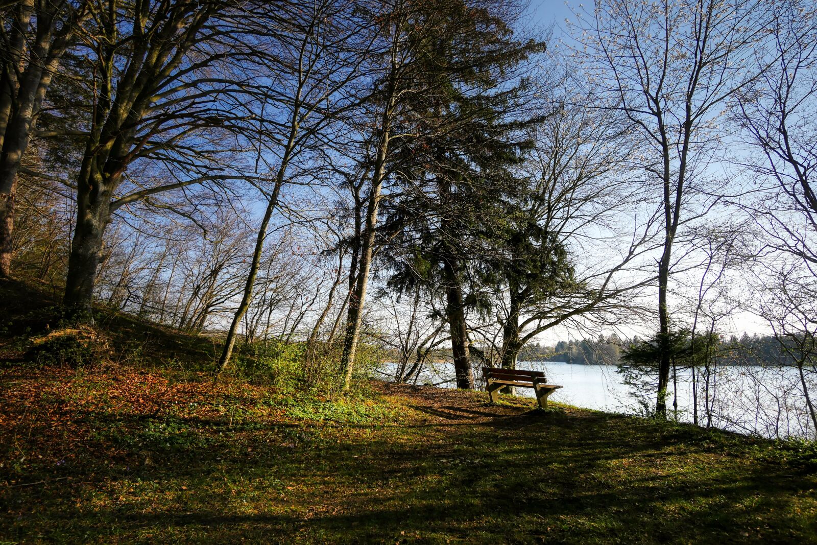Panasonic Lumix DMC-GX8 sample photo. Lake, river, lech photography