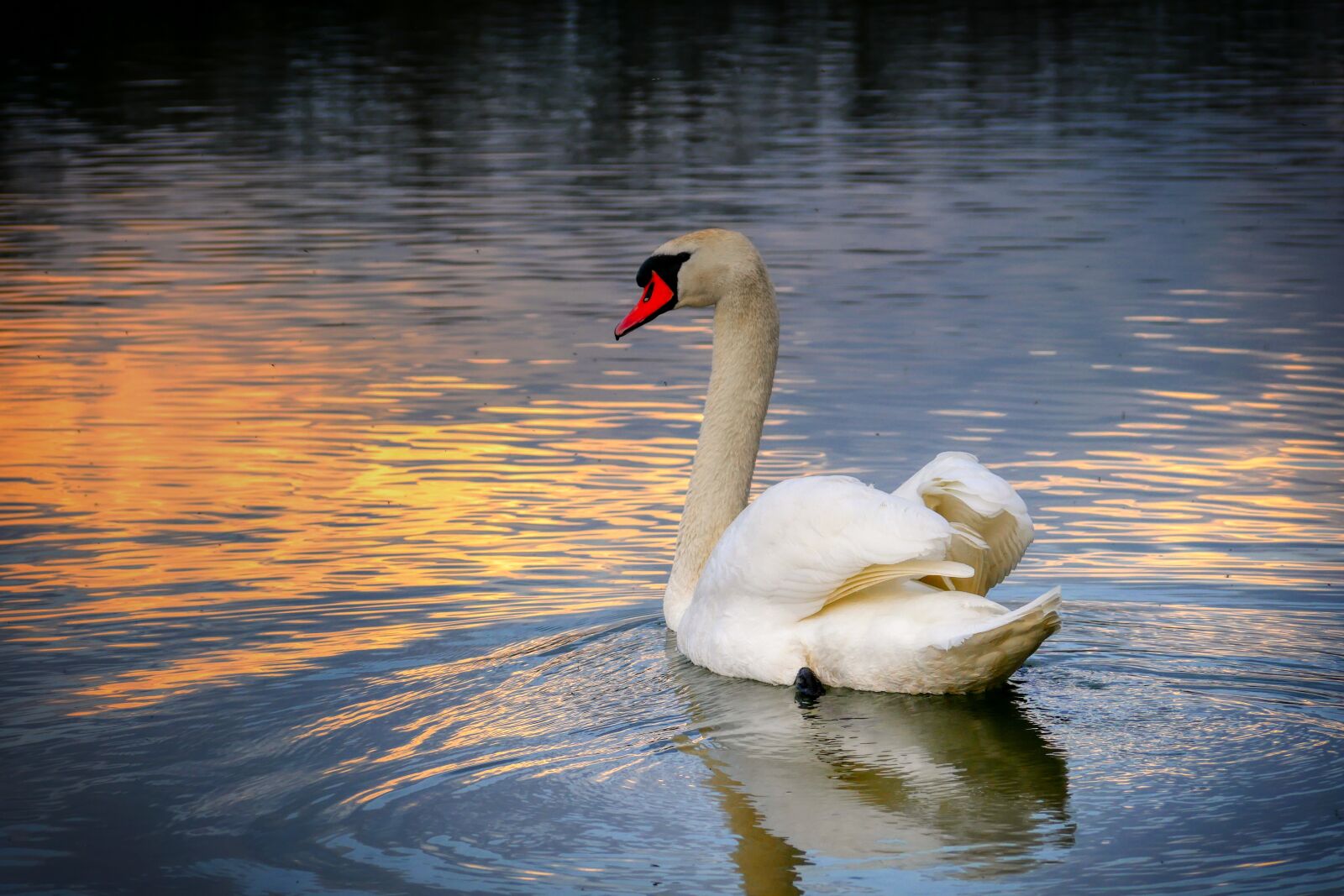 Panasonic Lumix DMC-GX8 sample photo. Lake, abendstimmung, water photography