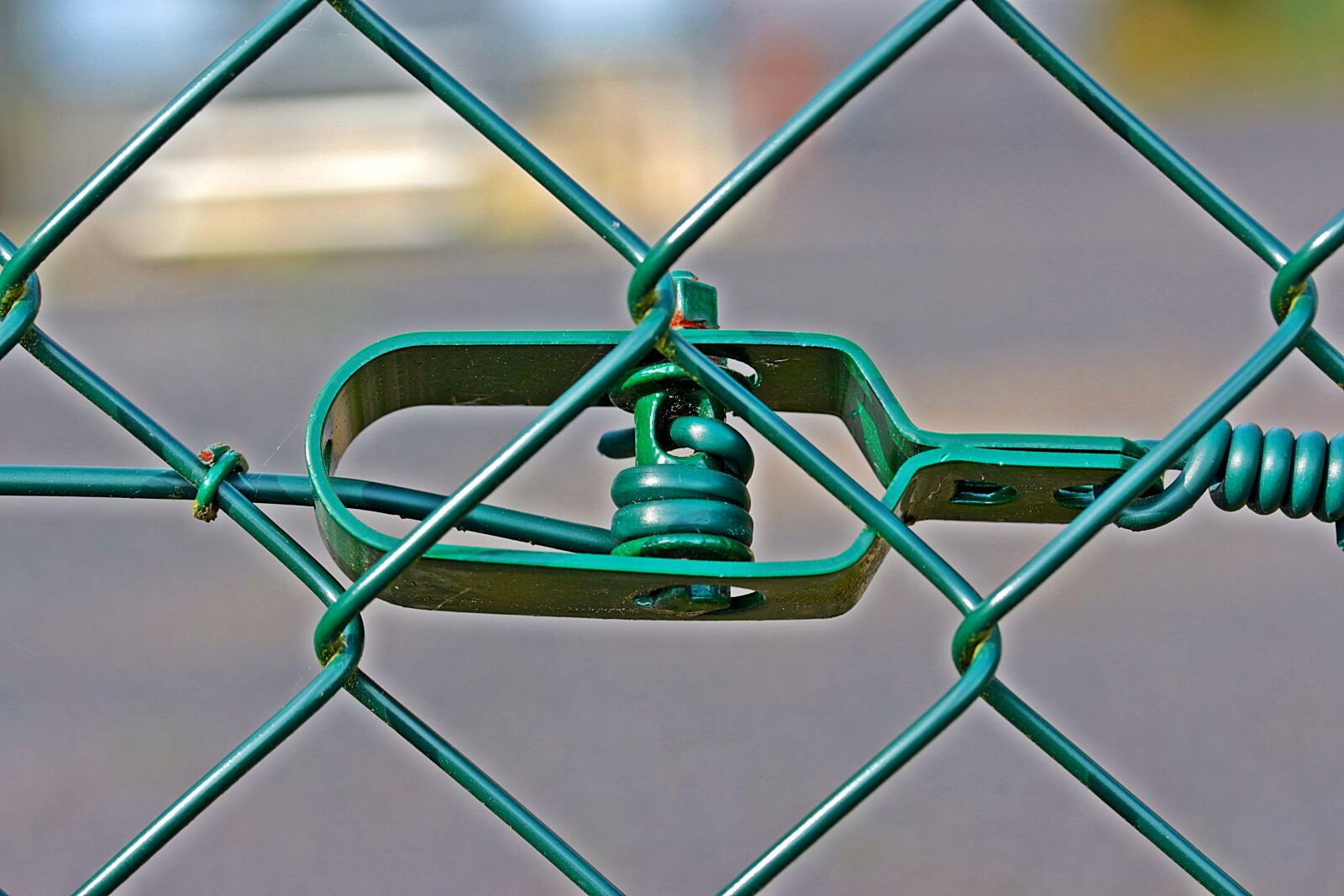 Canon EOS 650D (EOS Rebel T4i / EOS Kiss X6i) sample photo. Wire mesh fence, wire photography