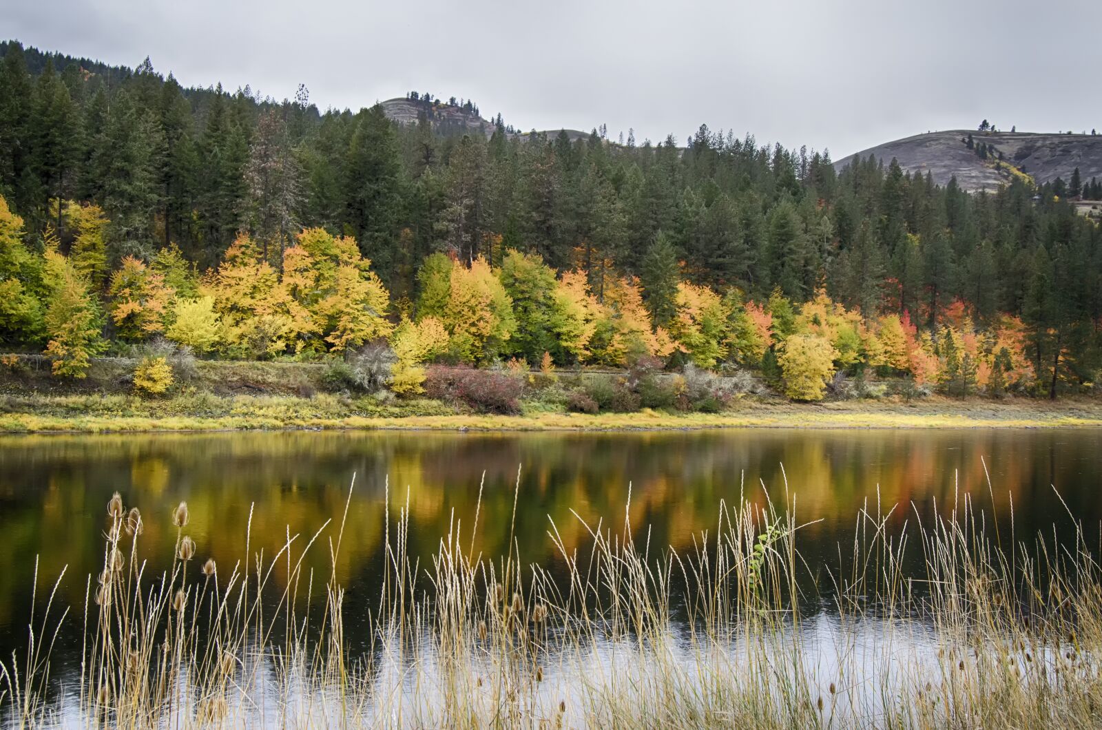 Nikon D5100 sample photo. Fall reflection, calm water photography