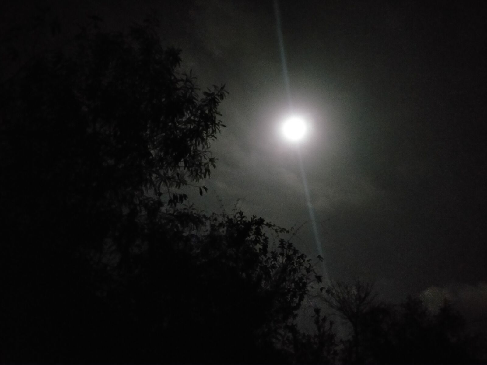 OPPO A9 2020 sample photo. Full moon night, moon photography