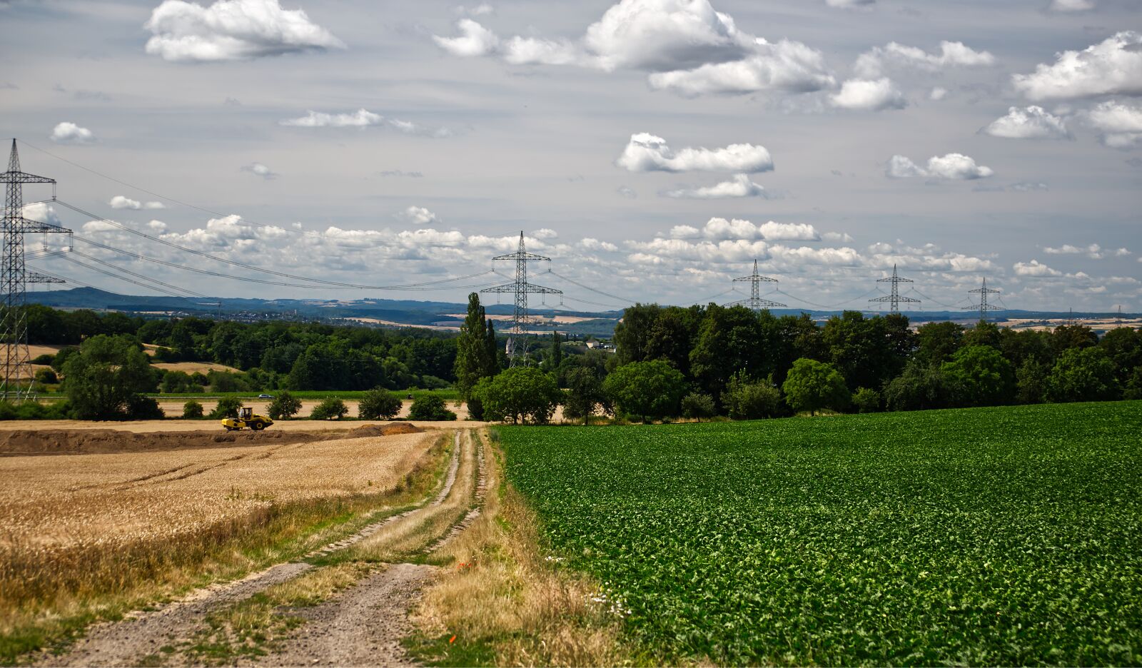 Nikon D5500 sample photo. Field, landscape, grain photography