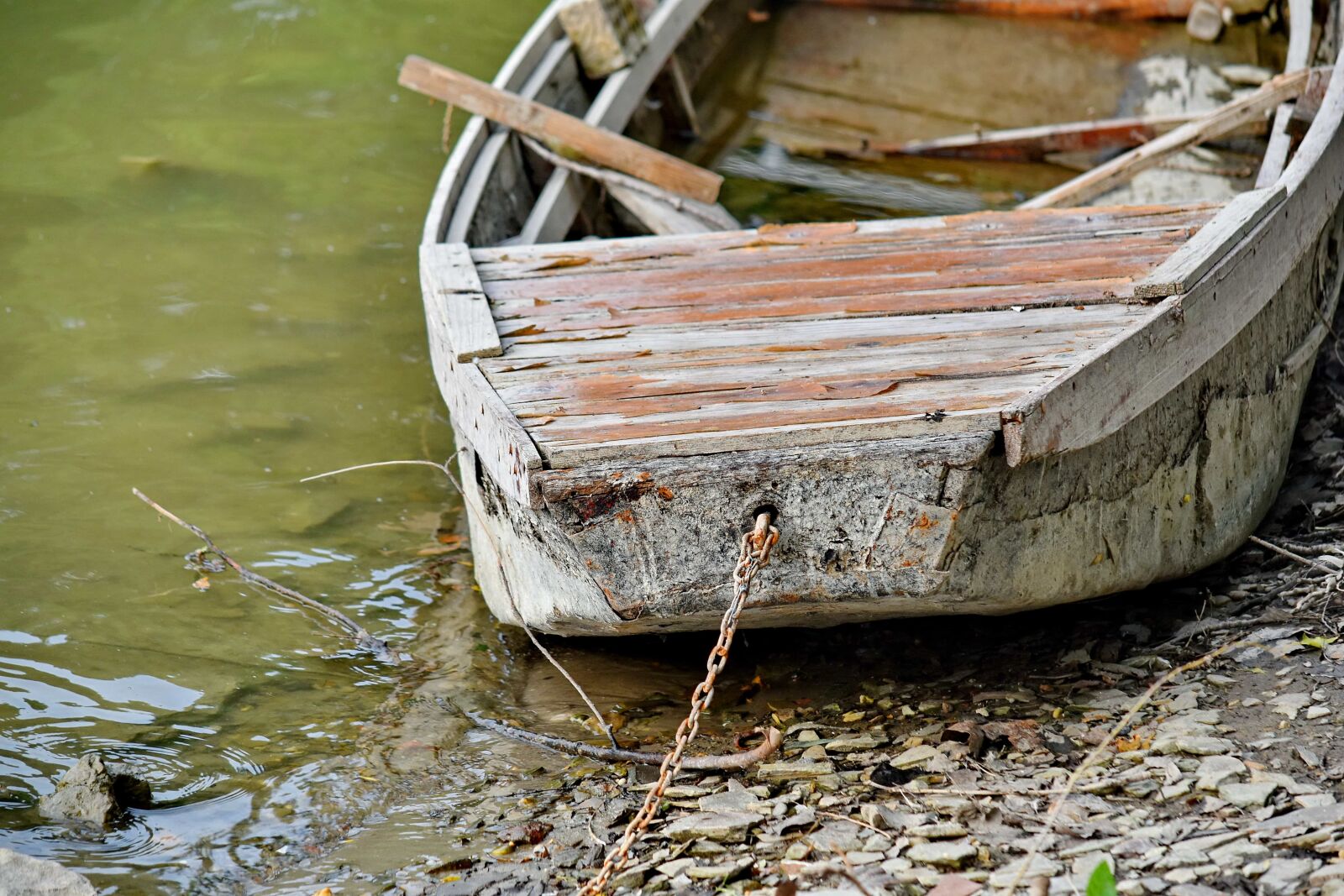 Nikon D5500 sample photo. Riverbank, boat, abandoned, water photography