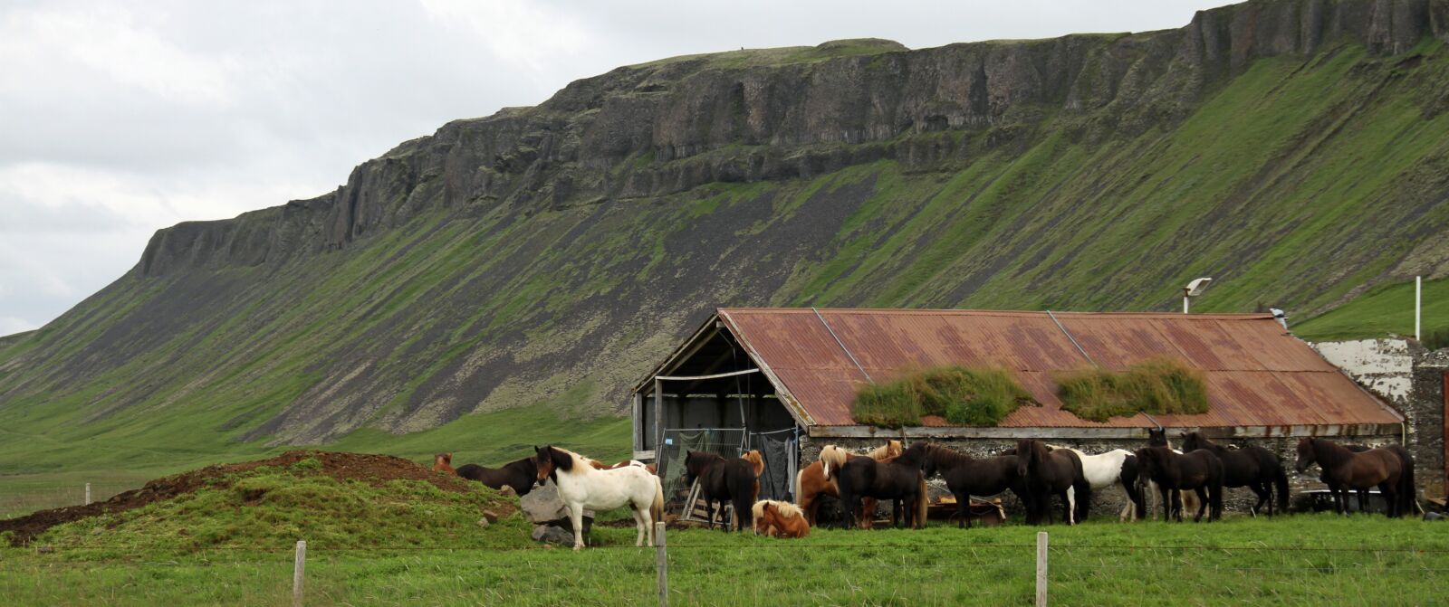Canon EOS 7D sample photo. Iceland, icelandic, nature photography