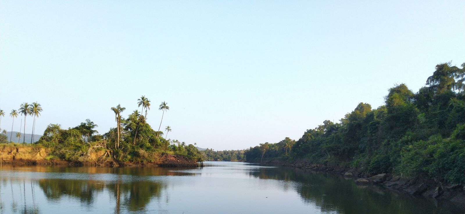 ASUS ZenFone Max Pro M1 (ZB602KL) (WW) / Max Pro M1 (ZB601KL) (IN) sample photo. Water, coconut tree, india photography