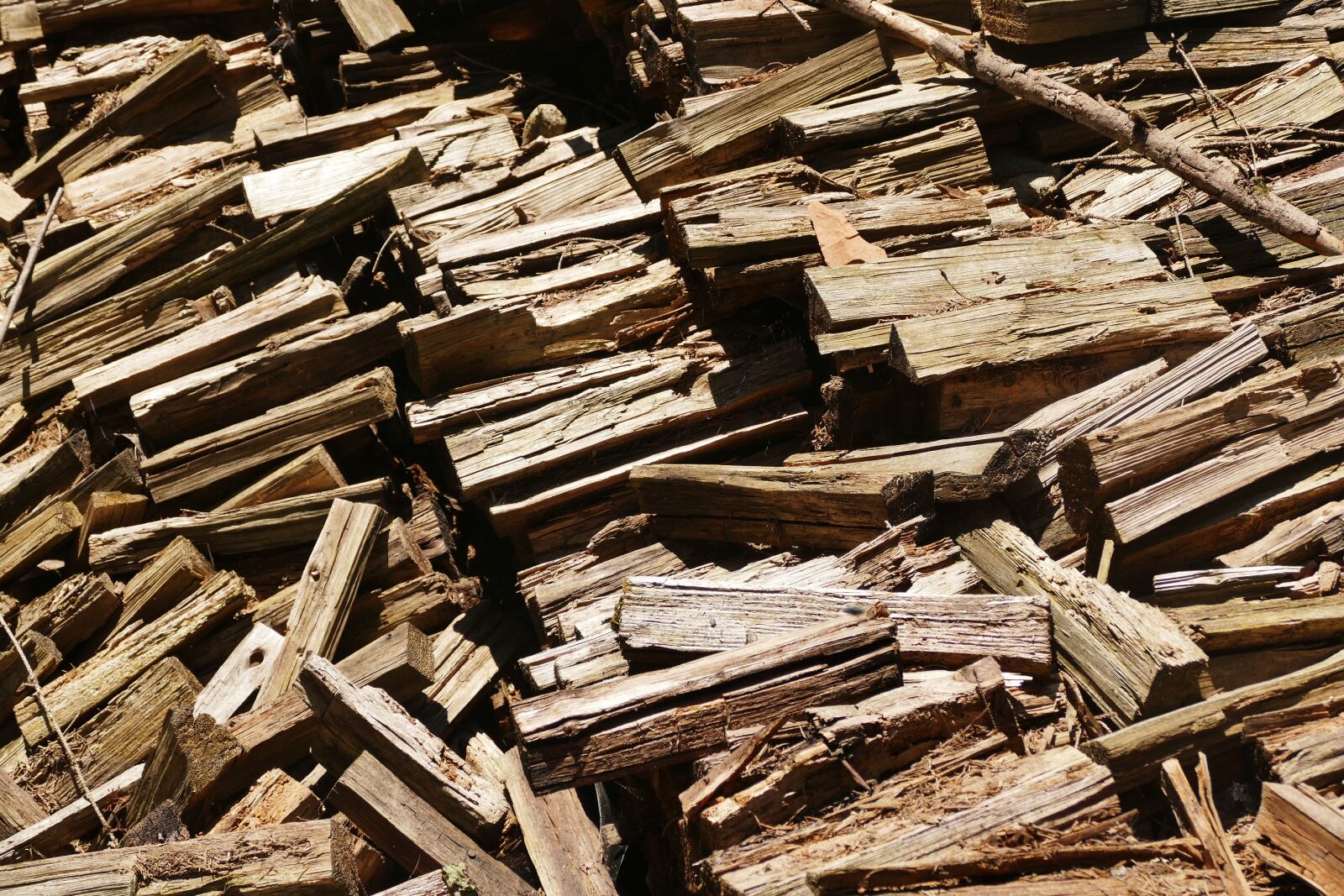 Panasonic Lumix DMC-FZ1000 sample photo. Wood, old, weathered photography