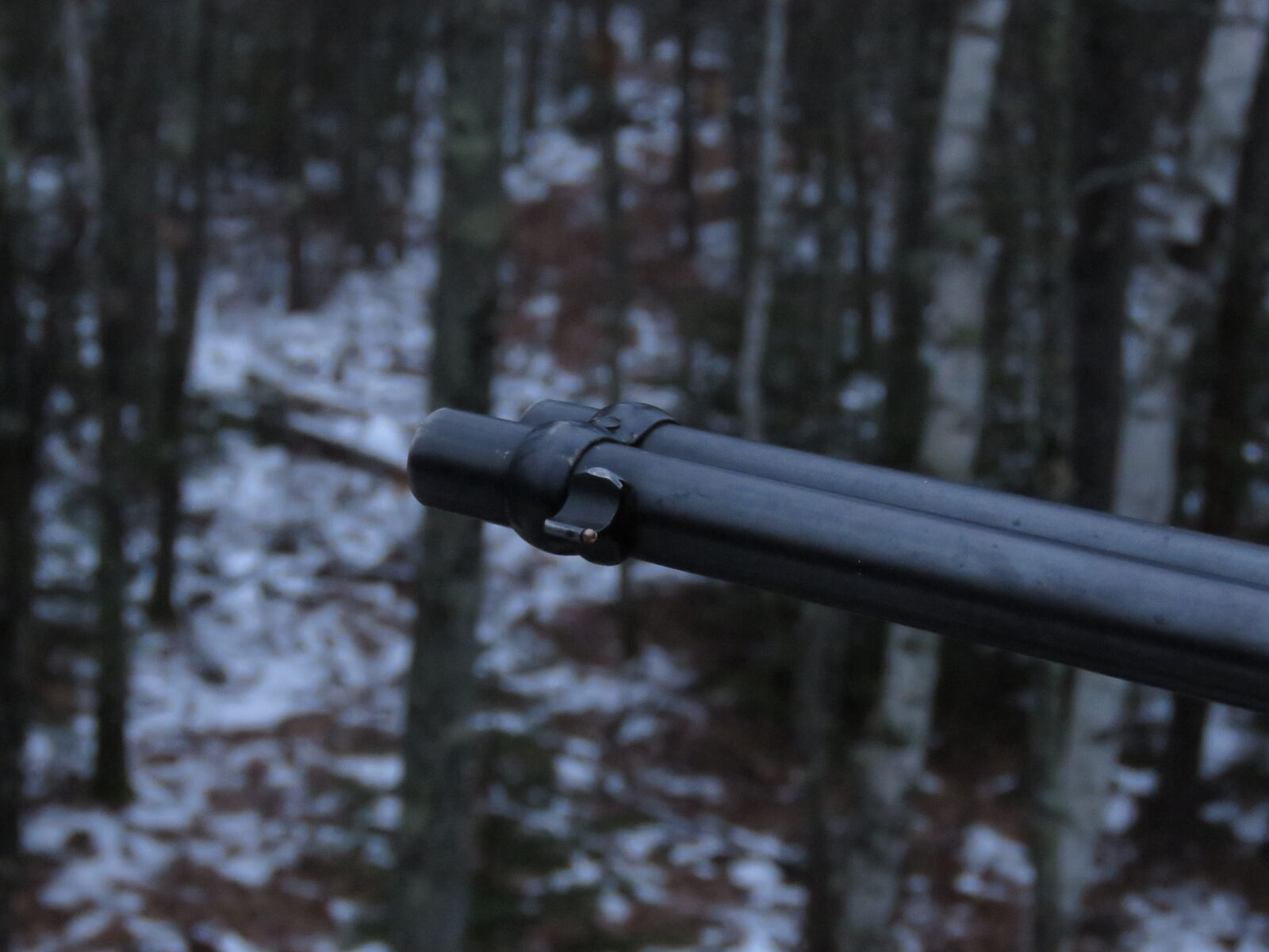Canon PowerShot SX60 HS sample photo. Gun, hunting, snow, woods photography